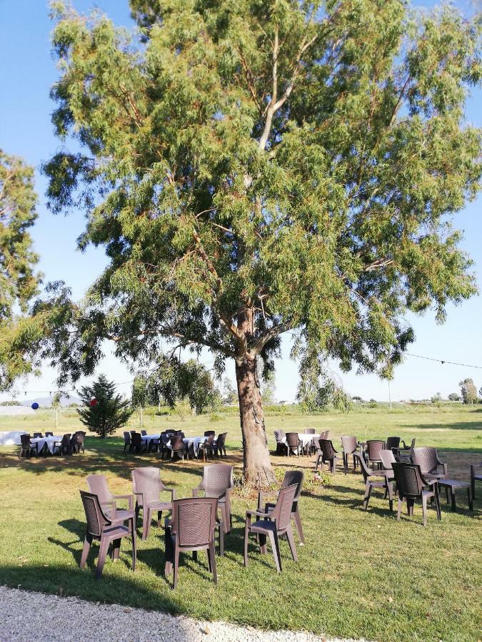 Agriturismo Le Folaghe Terracina Eksteriør bilde